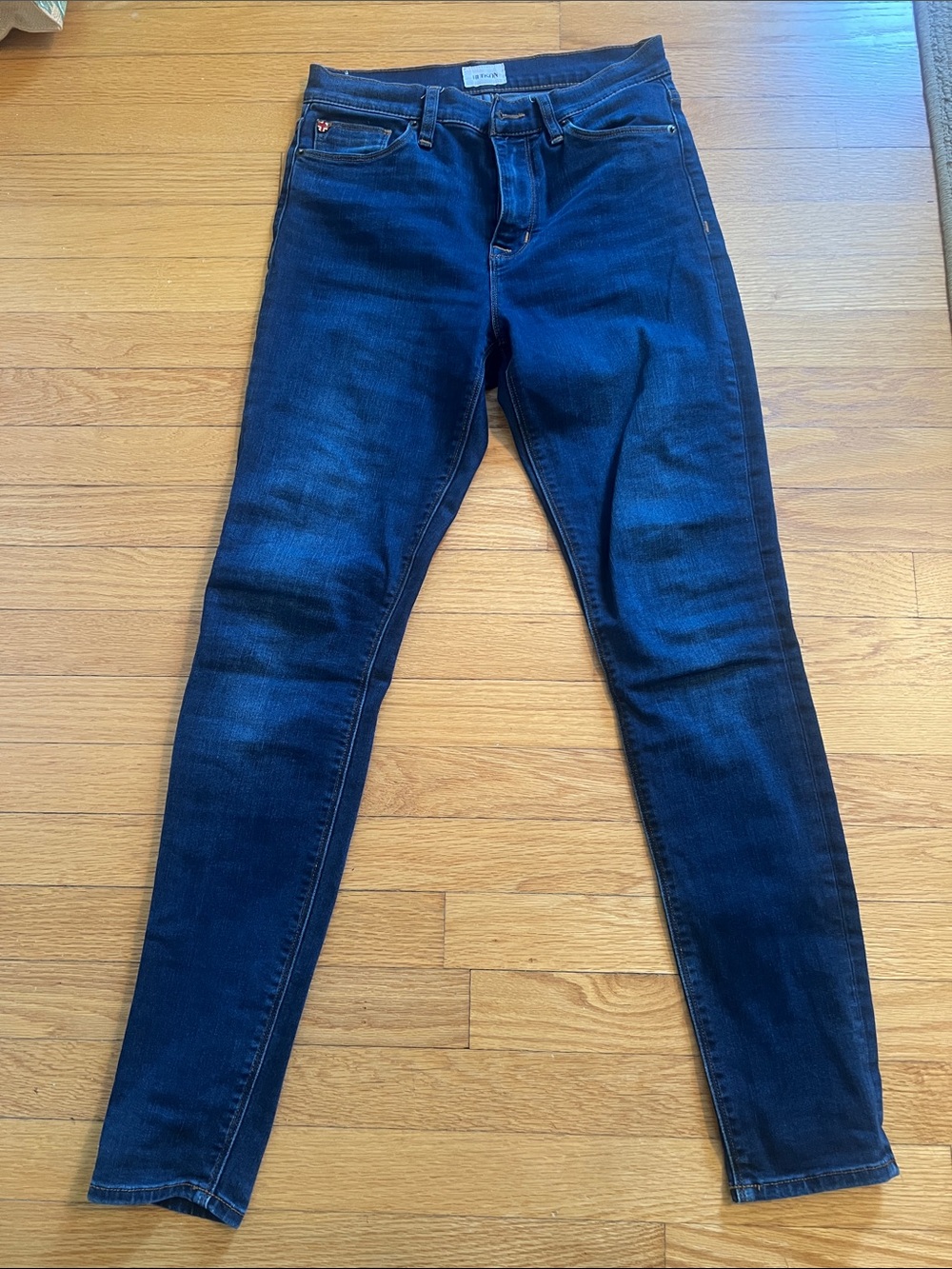 Hudson Jeans Indigo Skinny Stretch Jeans